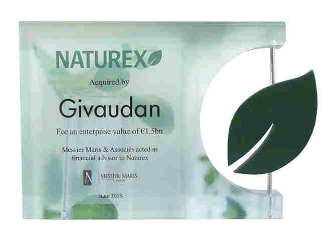 Logo-Themed Lucite Tombstone