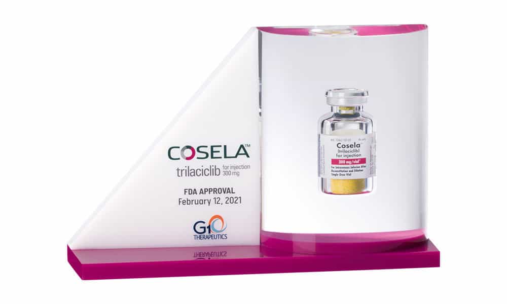 Custom Corporate Awards: Lucite Drug Vial Emedment