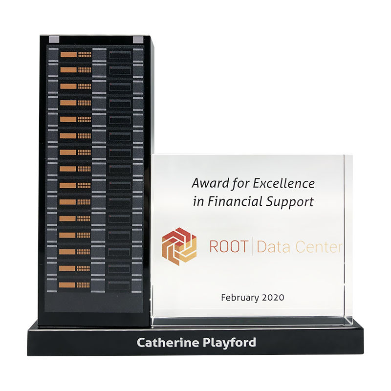 Data Storage-Themed Custom Award