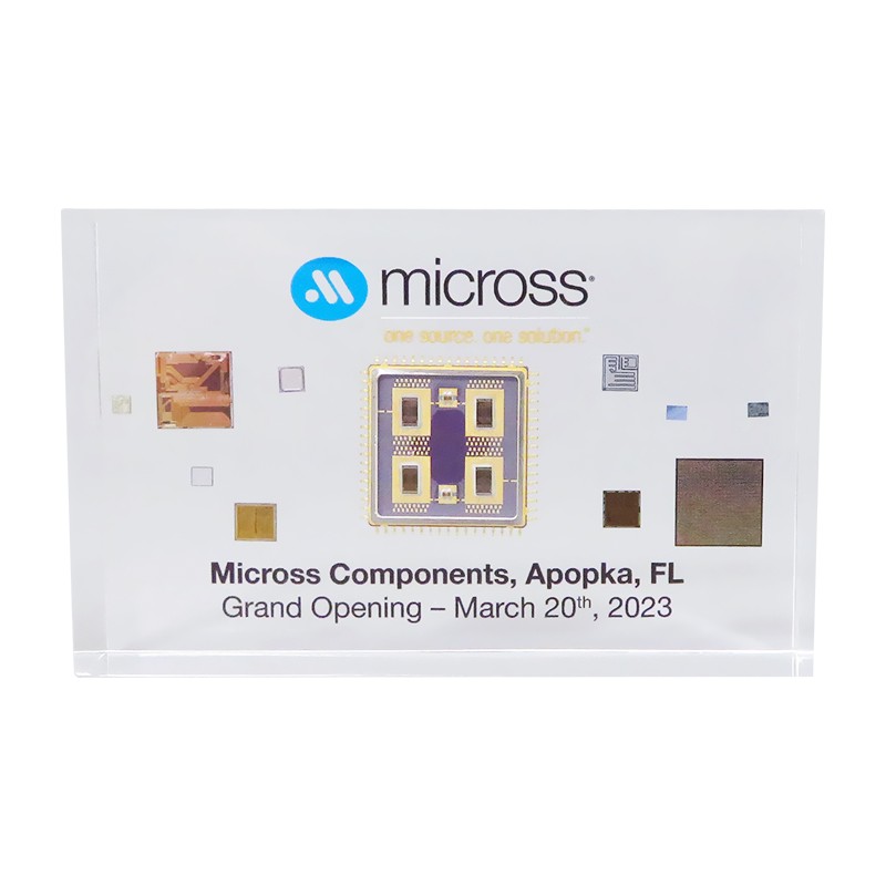 Lucite Embedment Semiconductor Chip Grand Opening Micross 