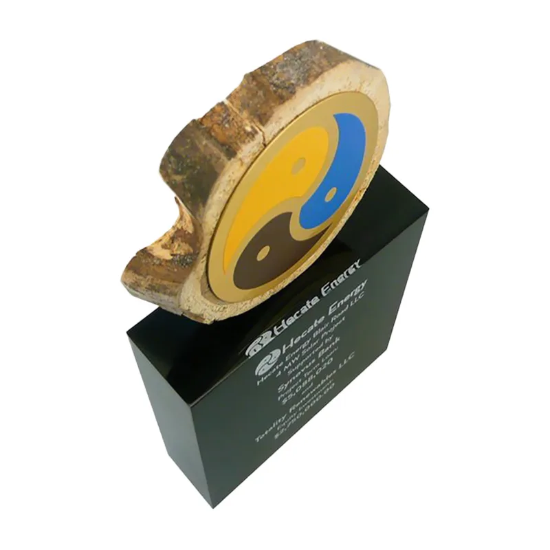 Log Section Custom Award
